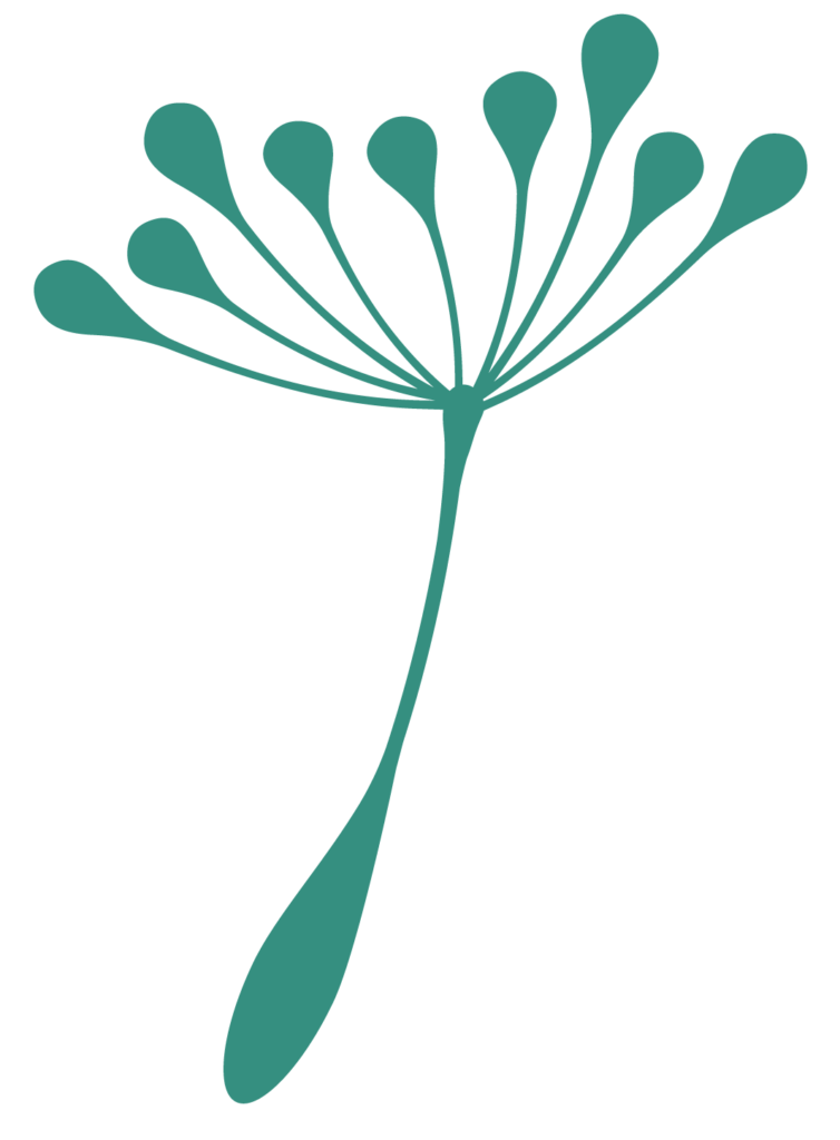 A single dandelion seed.